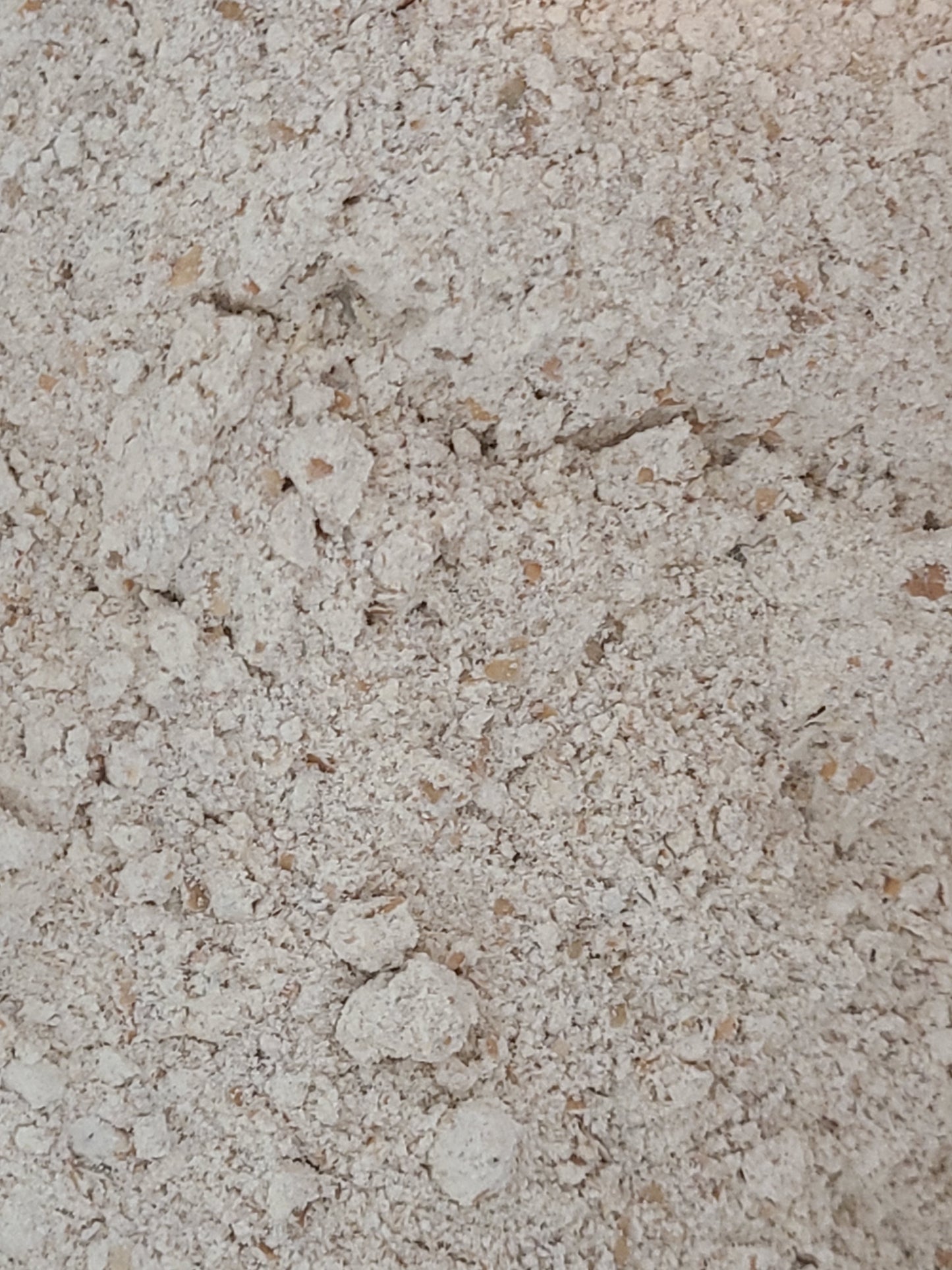 Rye- Flour & Berries