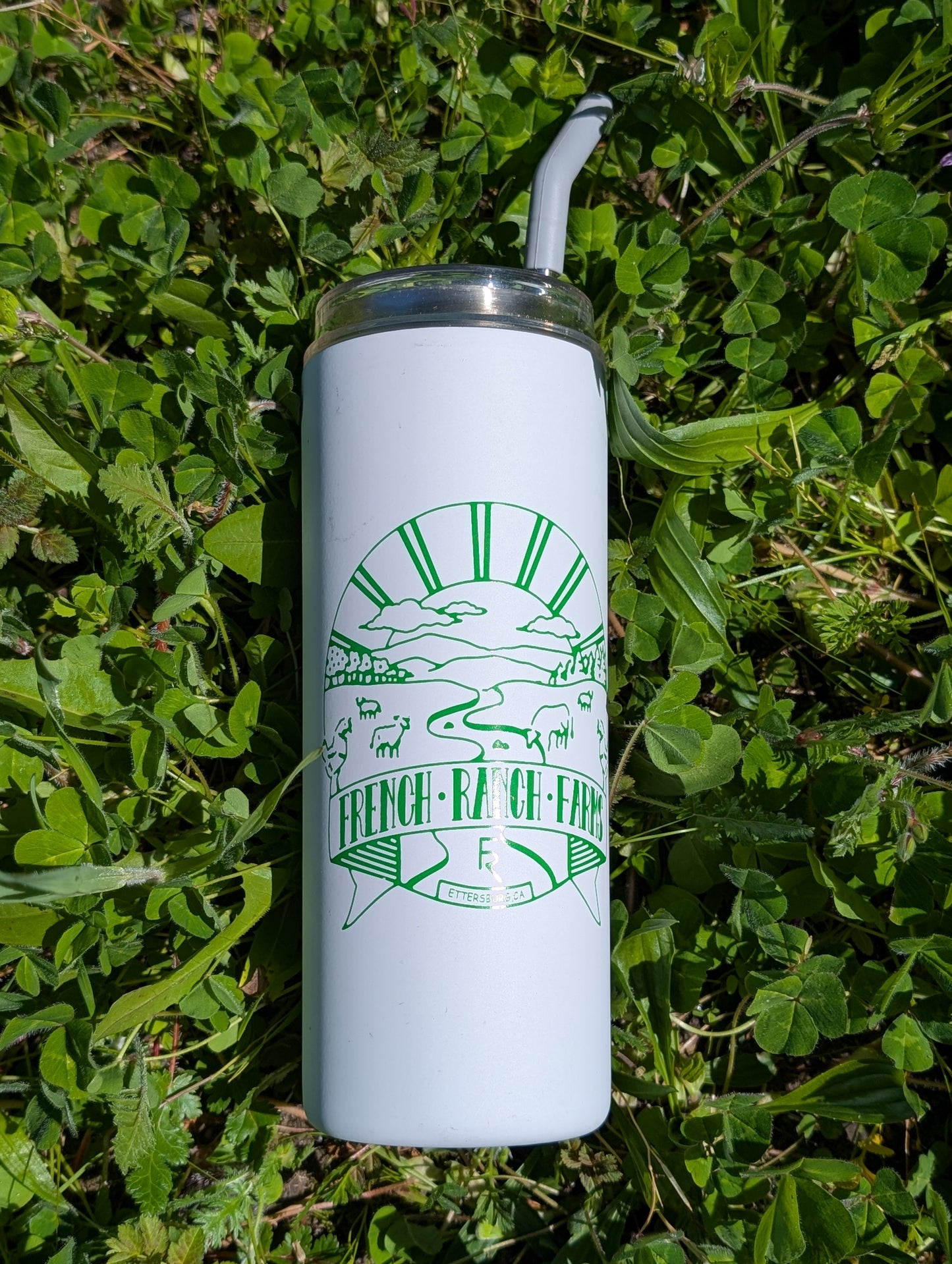 Travel Cup with Lid & Straw