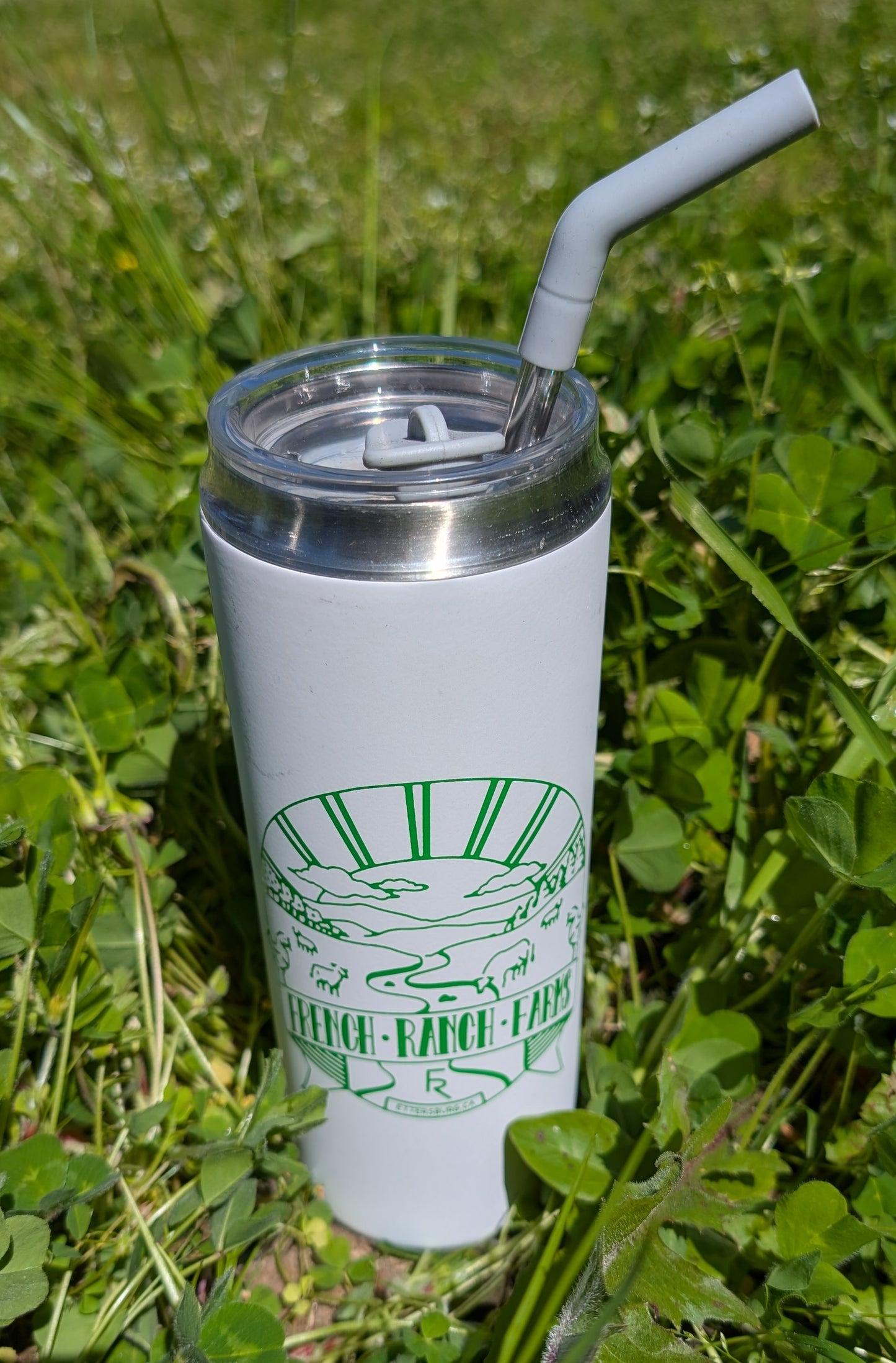 Travel Cup with Lid & Straw